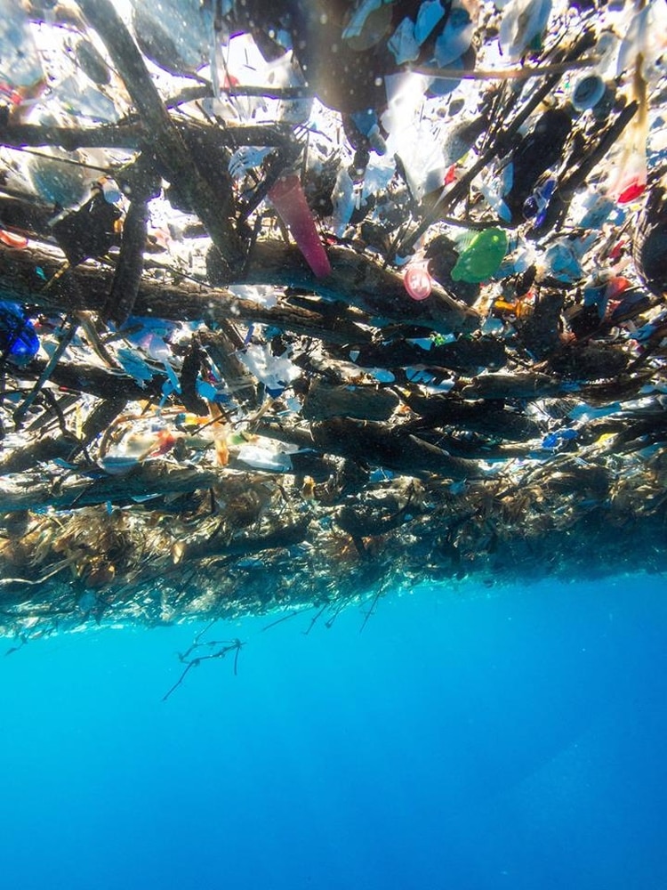 La producción global de plásticos ha aumentado en más de 10 veces desde 1970 (Foto: Caroline Power Photography)