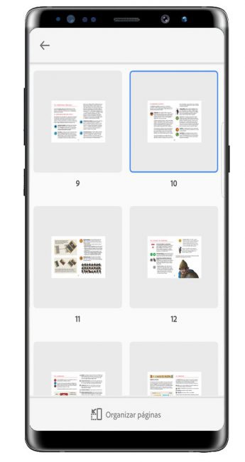 Visualización Adobe Reader