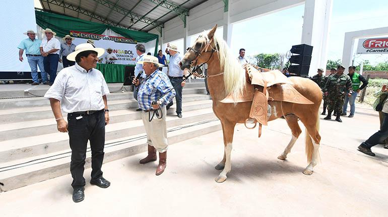 El presidente Evo Morales recibe un caballo de regalo, el pasado viernes en Tarija. | ABI