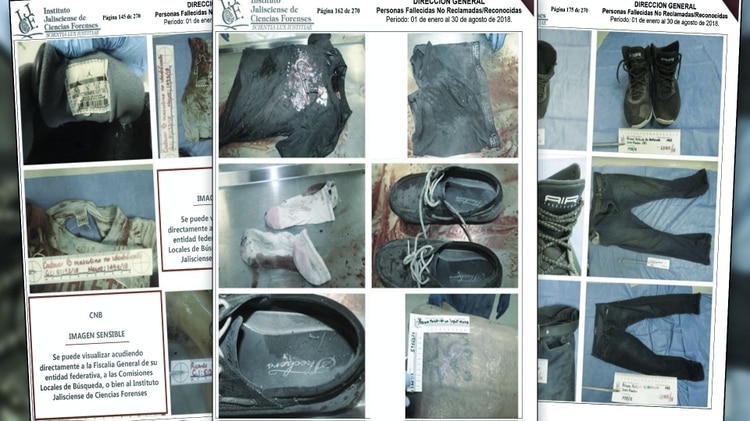 La Comisión Nacional de Búsqueda de Personas publicó en Internet el registro fotográfico de pertenencias de más de 200 cuerpos sin identificar (Foto: CNB)