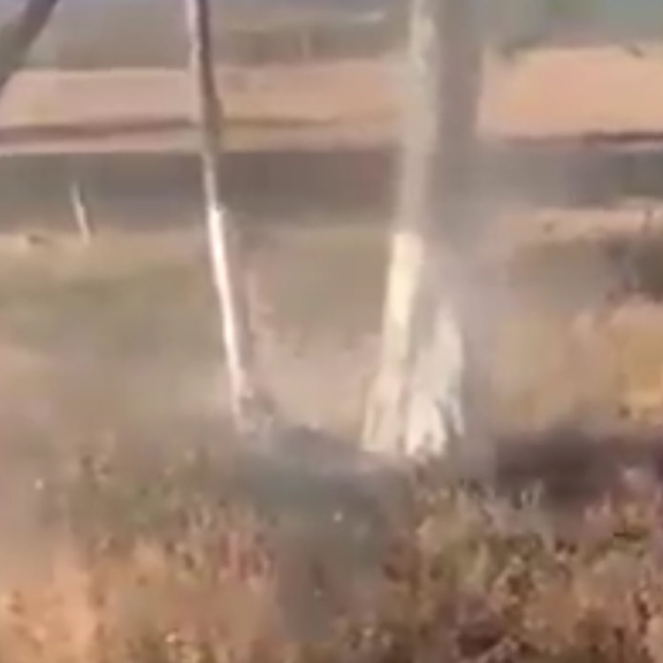 Después de recibir varios impactos de arma de fuego, el hombre cae sobre el pasto (Foto: captura de pantalla)