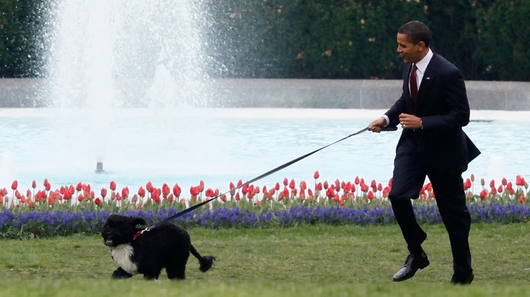 Barack Obama en la Casa Blanca (AP)