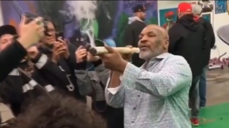Hace una semana se hizo viral un video de Tyson fumando un cigarrillo gigante de marihuana