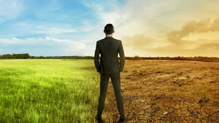 En los últimos cuatro años el aumento de la temperatura marcó récords sucesivos. (iStock)