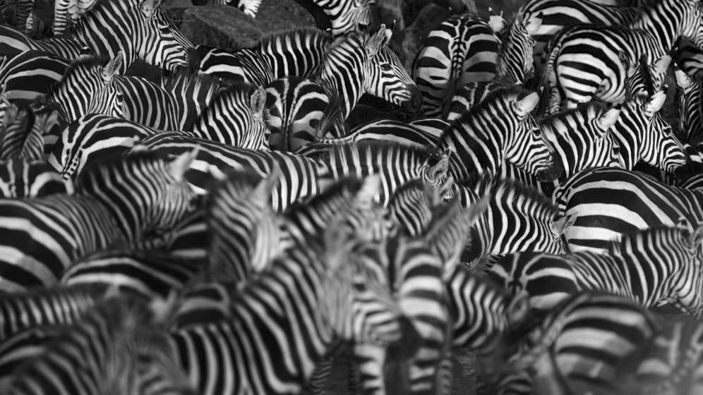 Foto: Foto: iStock.