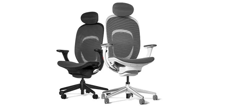 Colores de la Mi Ergonomic Chair
