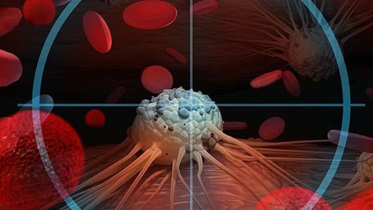 En el mundo cuatro emprendimientos buscan diagnosticar el cáncer con un análisis de sangre.