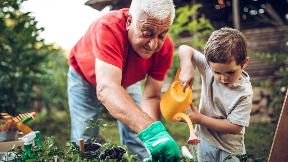 Foto: Foto: iStock.