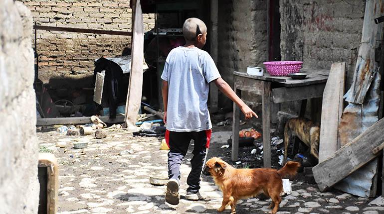 El niño junto a sus mascotas ingresa a su casa, en Sipe Sipe. | Daniel James