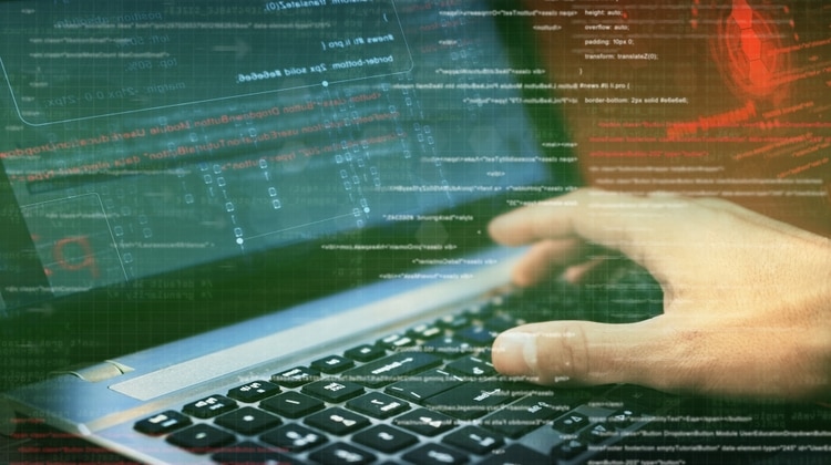 Muchas empresas tienen programas bug bounty que consisten en ofrecer a hackers recompensas para que encuentren y reporten vulnerabilidades en los sistemas informáticos (iStock)