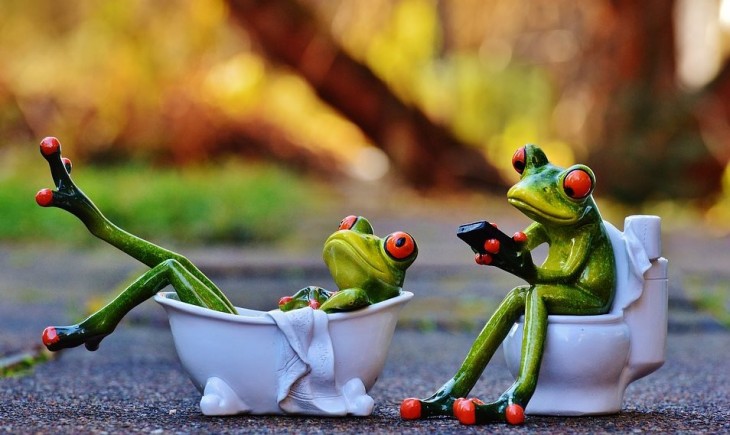 ranas con móviles