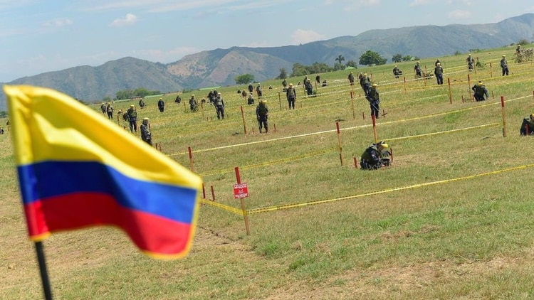 Brigada antiminado en Colombia.