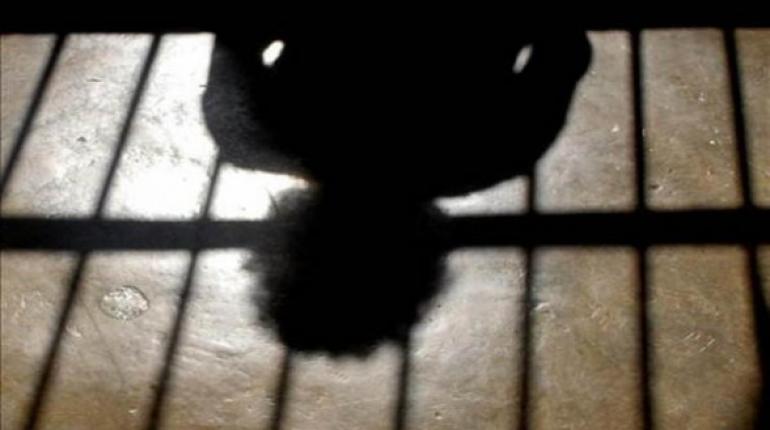 Cárcel. | | Foto ilustrativa: lainformacion.com