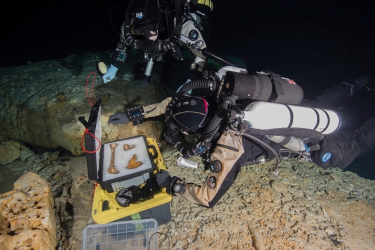 En esta imagen sin fechar distribuida por el Instituto Nacional de Antropología e Historia, dos buzos colocan los huesos de una mujer de la prehistoria, a la que llamaron Naia, en una caja para sacarlos de la cueva subacuática de Hoyo Negro, en Tulum, en el estado de Quintana Roo, México. (Instituto Nacional de Antropología e Historia vía AP)