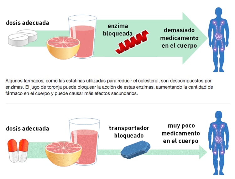Según la autoridad de los EEUU en fármacos, hay dos formas en que la toronja o pomelo afectan la metabolización de las medicinas. (FDA)