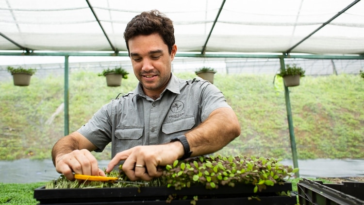 True Leaf Farm de Mejía Lugo está ubicada en Comerío, una región agrícola cerca de San Juan donde muchos jóvenes agricultores comienzan en la industria. Credit Érika P. Rodríguez para The New York Times