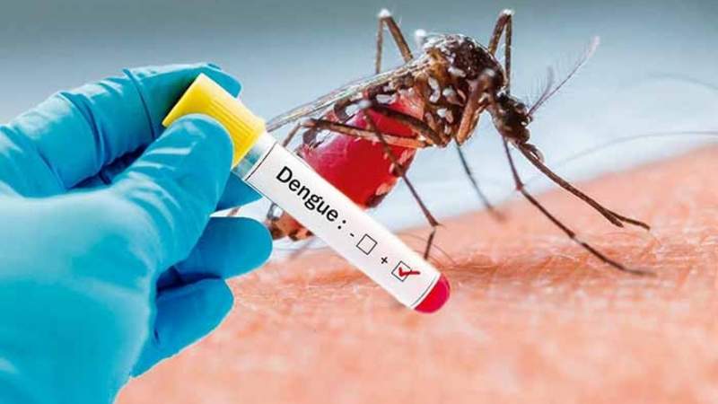Pando: Muere niña de 11 años con dengue hemorrágico