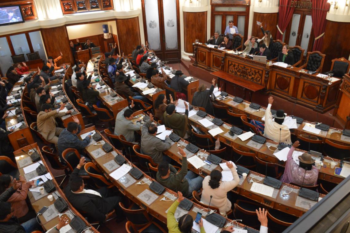 Resultado de imagen para camara Diputados Bolivia 2019
