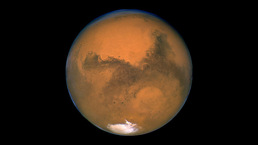 Organismos terrestres sobreviven 533 días en condiciones marcianas fuera de la EEI