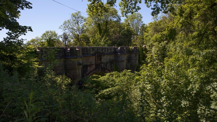 El puente Overtoun en Dumbarton, Escocia, del cual se dice que cientos de perros han saltado (Sophie Gerrard para The New York Times)