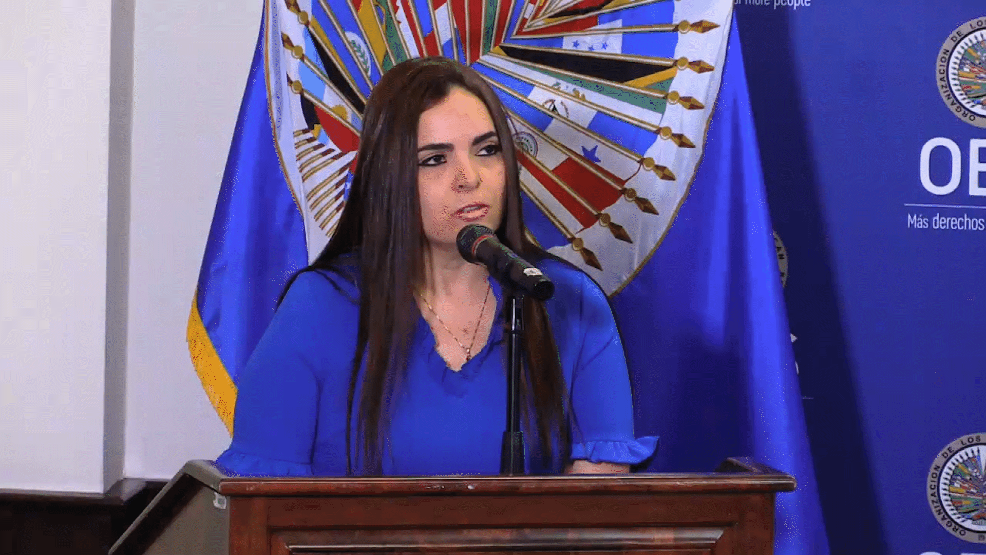 Tamara Suju, durante su intervención en la OEA