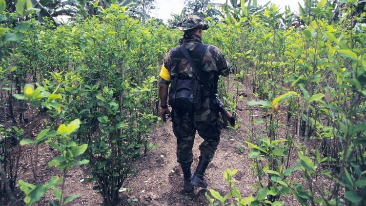 Colombia sigue siendo el mayor productor de droga (Getty Images)