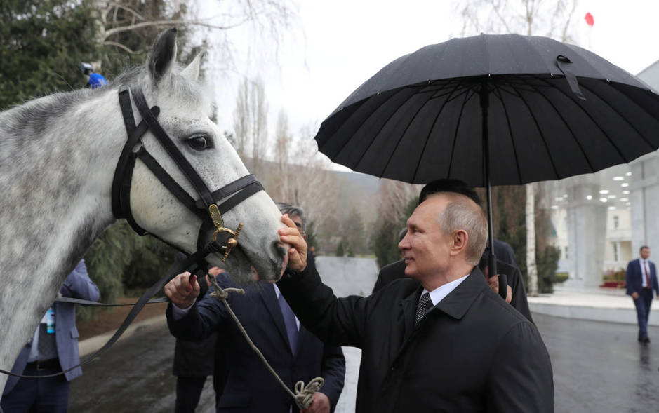Un caballo y Vladimir Putin. (Reuters/Sputnik Mikhail Klimentyev)