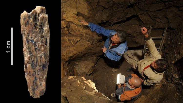 En Siberia un pequeño fósil permitió identificar a una descendiente de una madre neandertal y un padre denisovano.