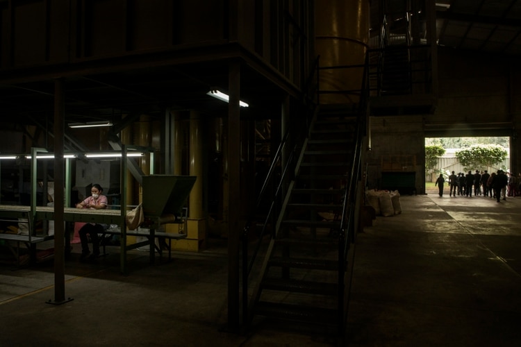 La trabajadora Rosa González, a la izquierda, clasificaba los granos de café en Fedecocagua, un molino de café en las afueras de Ciudad de Guatemala, mientras el comisionado Kevin McAleenan y un grupo de funcionarios salían del edificio. (Kirsten Luce/The New York Times)