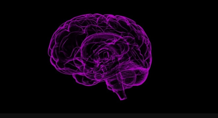 Científicos de la Universidad de Buffalo descubrieron un nuevo enfoque que podría restablecer la memoria en pacientes con esta enfermedad Foto: (Pixabay)