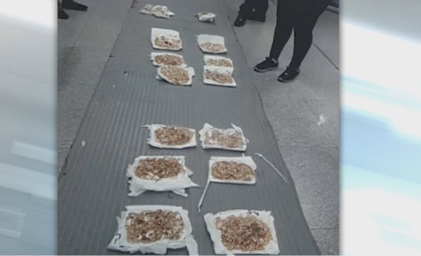 Decomisan joyas de oro y plata valoradas en $us 220 mil en el aeropuerto