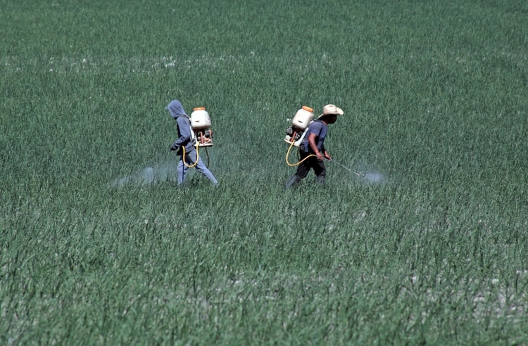 En México falta control sobre riesgos de ciertas sustancias contaminantesFOTO: MARGARITO PÉREZ RETANA /CUARTOSCURO.COM