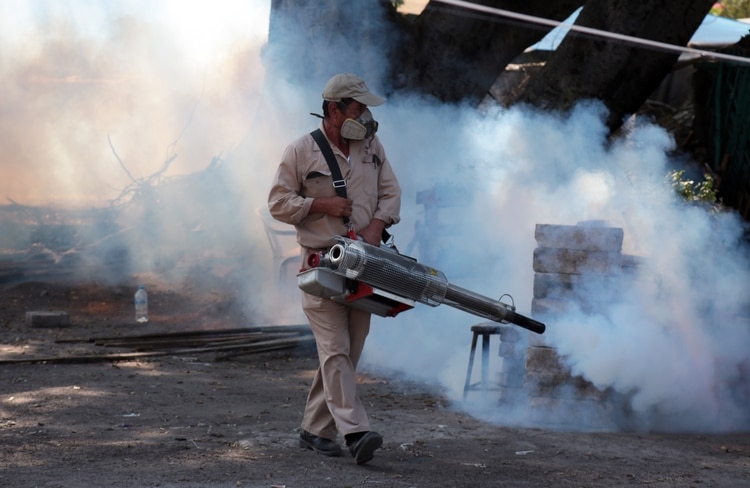 En México hay una regulación deficiente de sustancias, sostiene Lugo. (Foto: Cuartoscuro)