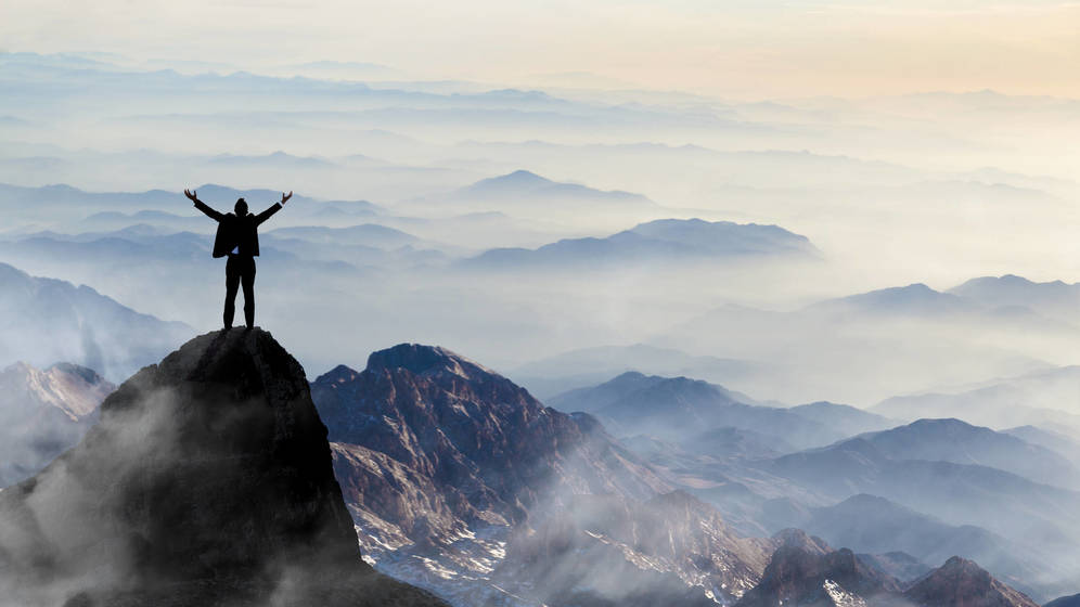 Foto: Â¿CÃ³mo se habrÃ¡ subido ahÃ­ arriba? (iStock)
