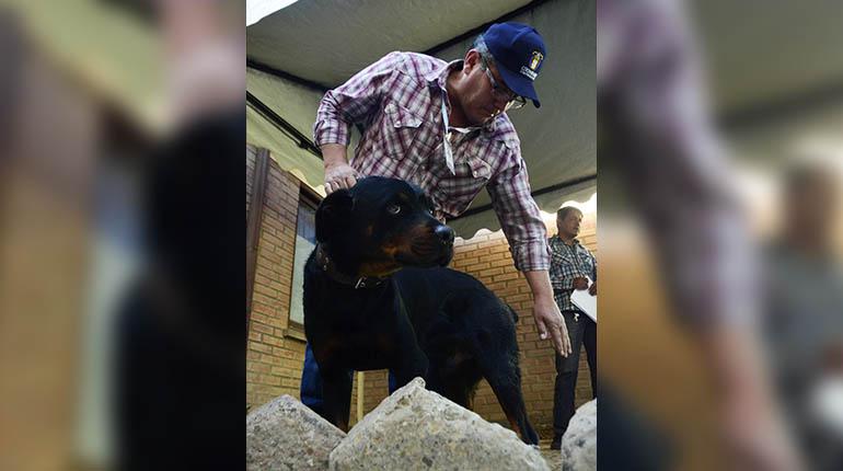 El perro rottweiler en Zoonosis. | José Rocha