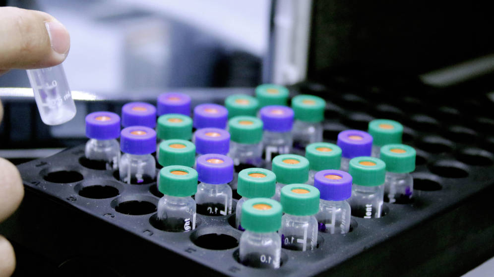 Foto: El nuevo fármaco está probándose en ensayos clínicos de fase 2 en 40 pacientes (Foto: IPN)