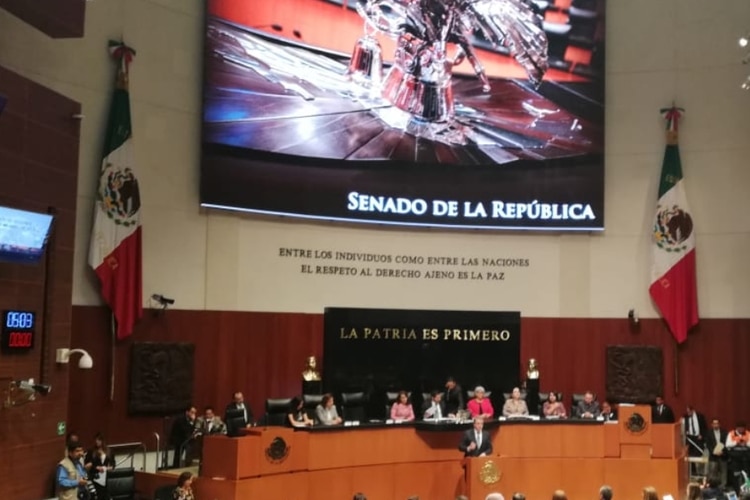 En el estado de Aguascalientes, la senadora apoya a comunidades marginadas (Foto: Senado)