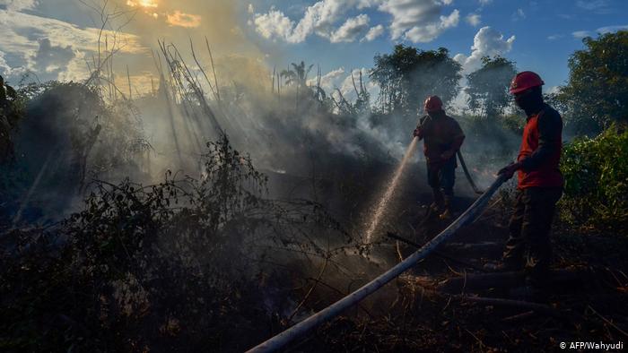 Indonesien Feuer (AFP/Wahyudi)
