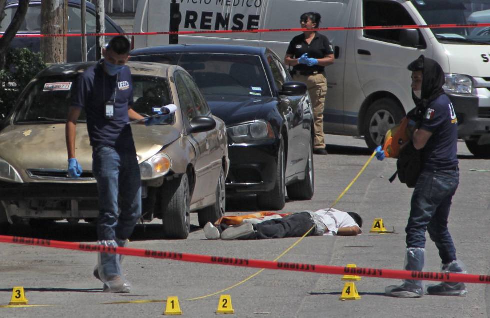 Forenses investigan un asesinato en Ciudad JuÃ¡rez. 