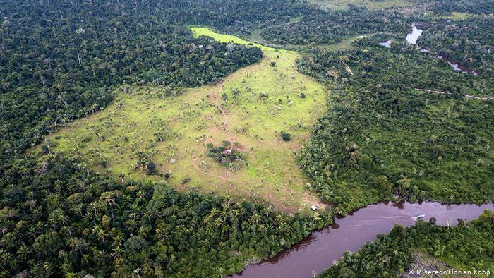 Brasilien l ZerstÃ¶rung des Regenwaldes in Para (Misereor/Florian Kopp)