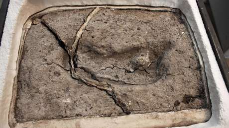 Huella antigua de un pie humano descubierta en 2010 en el sitio arqueológico de Pilaluco, en Osorno, Chile