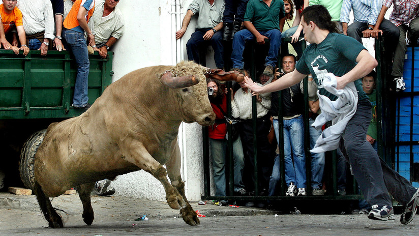 Un toro embiste y mata a un hombre de 74 años en España
