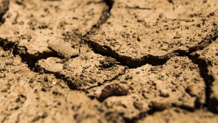 Una gran aridez cubriría nuestro país y gran parte de Brasil