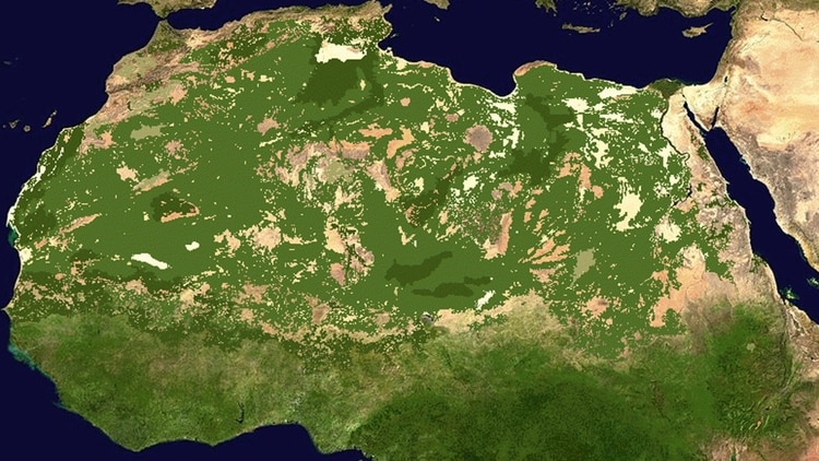 El Sahara dejaría de ser un desierto y florecería