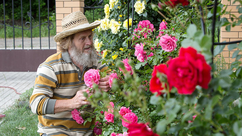 Estudio: Adultos con un olfato deteriorado corren más riesgo de morir en un plazo de 10 años