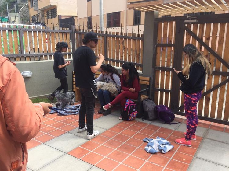 Voluntarios trasladan a los perros para ser atendidos en el Centro Taawa.