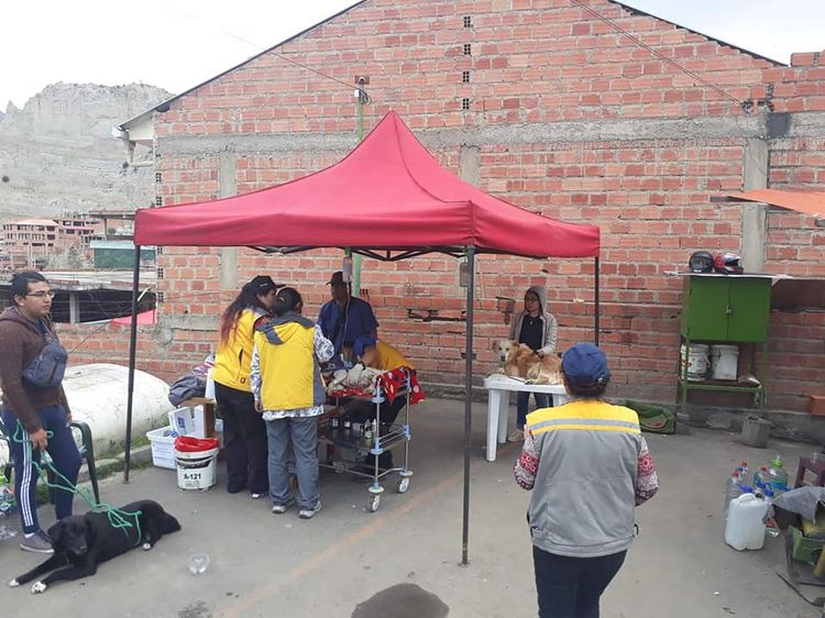 Emaverde instala en sus predios un centro de acogida para mascotas.
