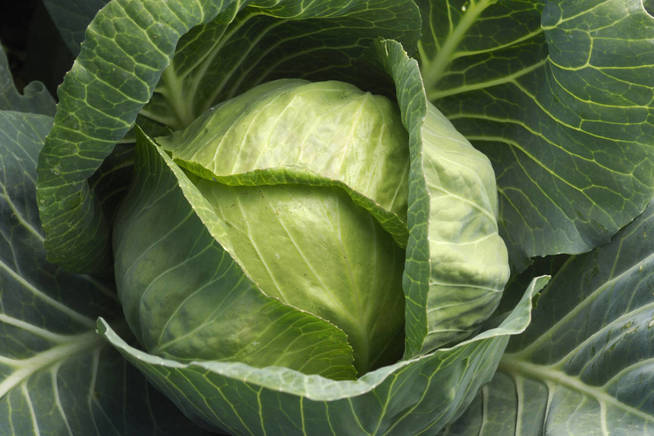 Foto: iStock.