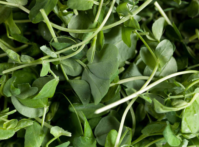 Foto: iStock.