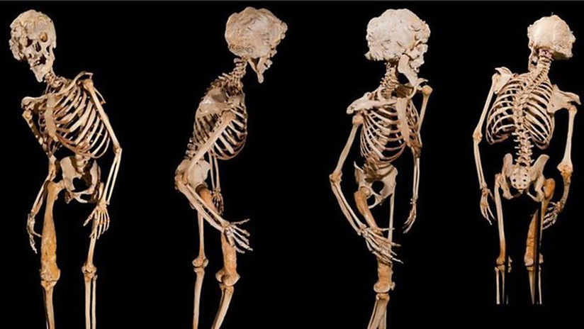 FOTOS: Investigadora afirma haber resuelto el misterio de más de un siglo al hallar la tumba del 'Hombre Elefante'